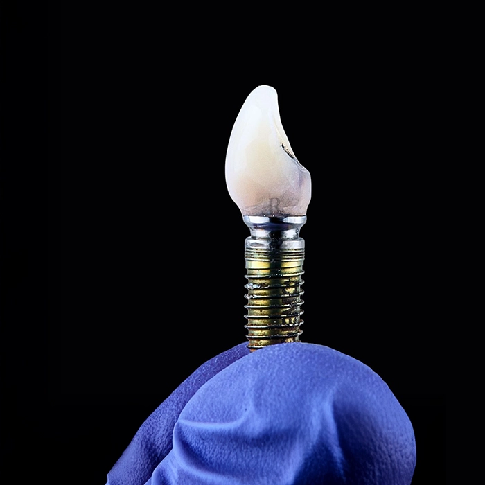ORTHODONTICS & GUM CARE
